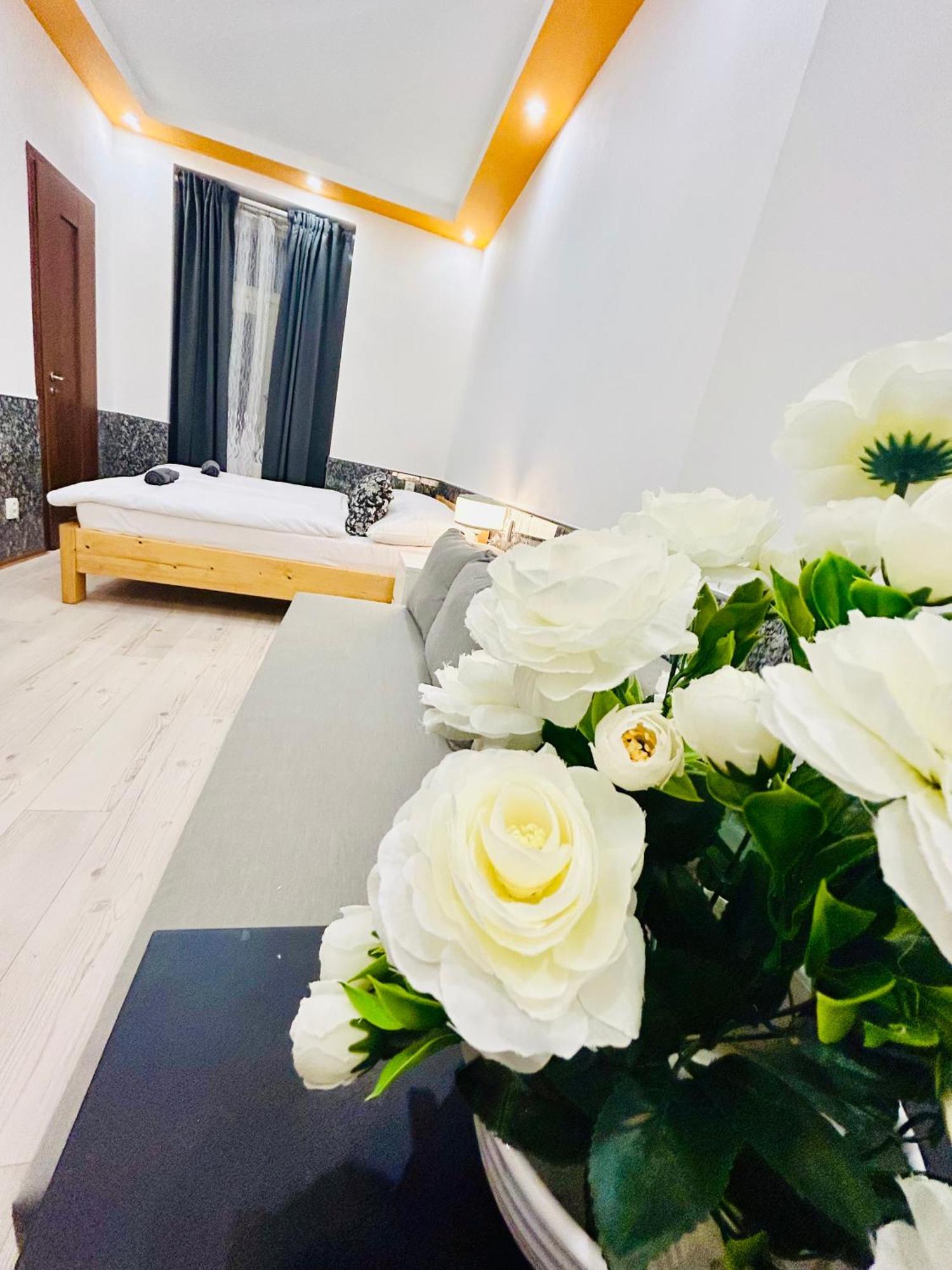 Modern Spacious Apartment In Center פראג מראה חיצוני תמונה